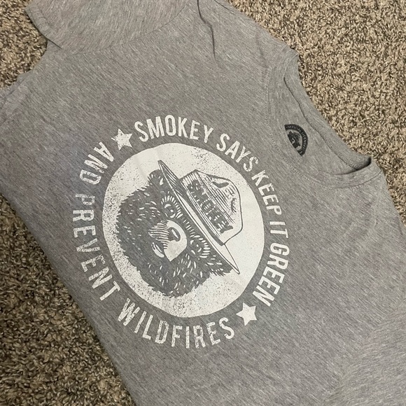 Gray Smokey the bear tee - Picture 1 of 1